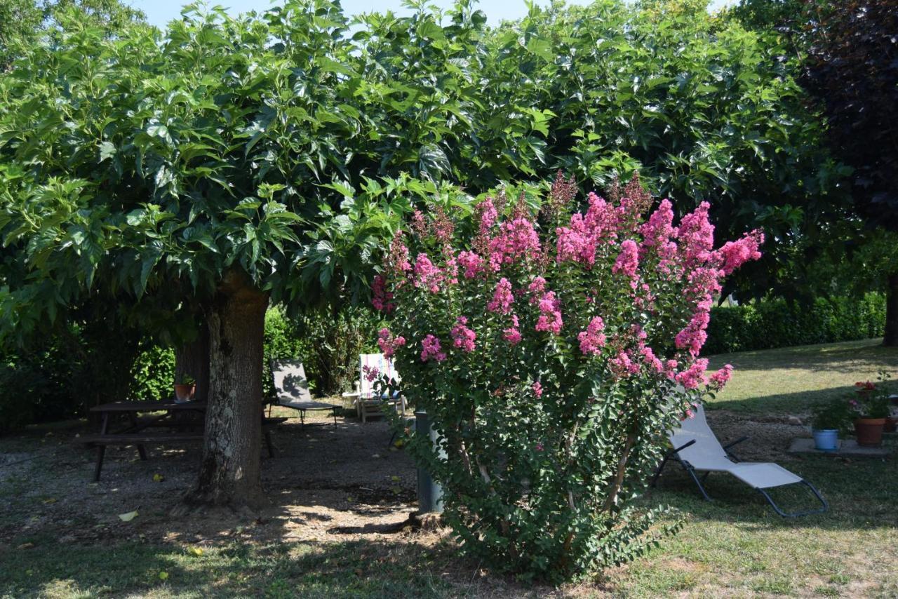 Le Nid De L'Ecureuil Bed & Breakfast Brens  ภายนอก รูปภาพ